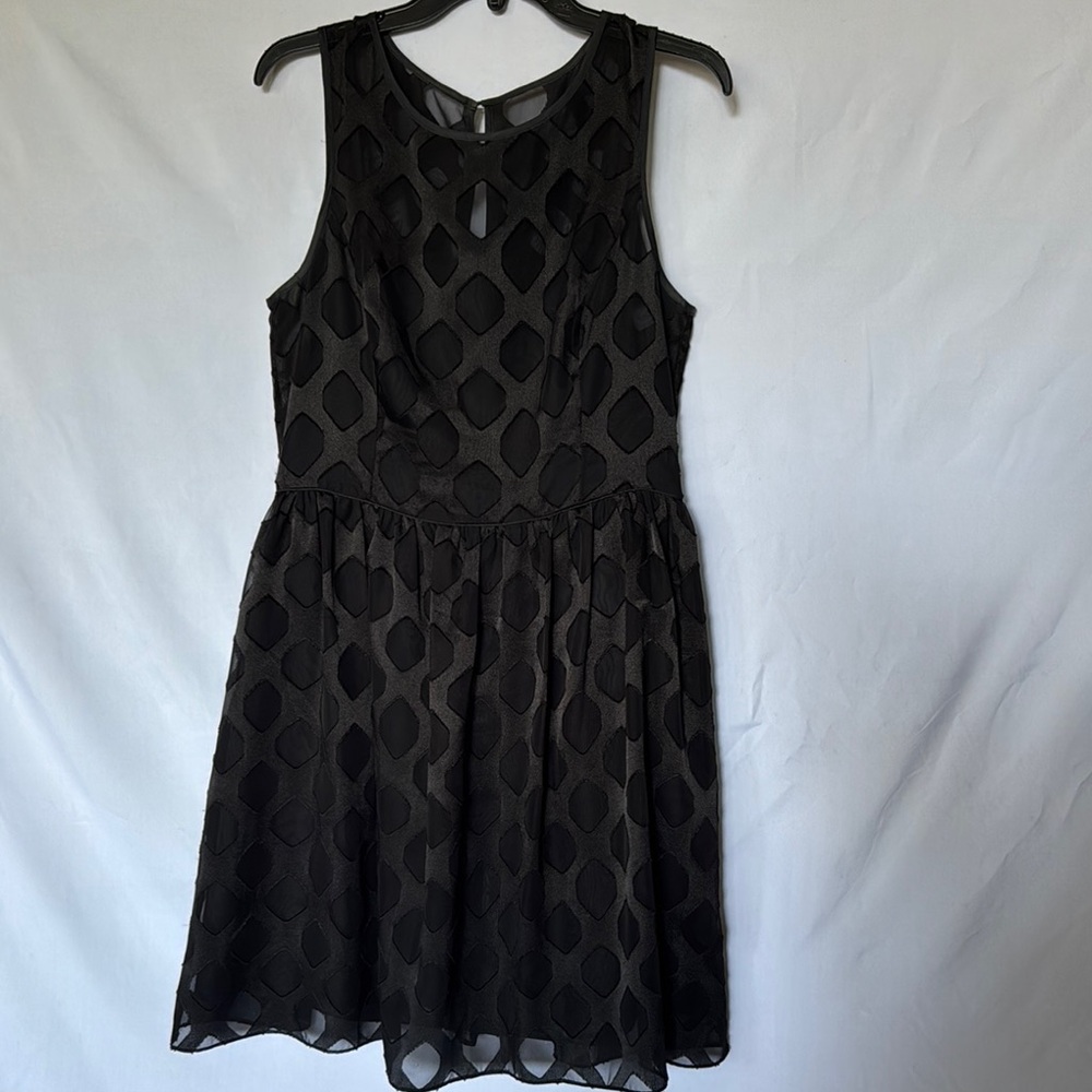 Banana Republic Black Fit and Flare Mini Dress